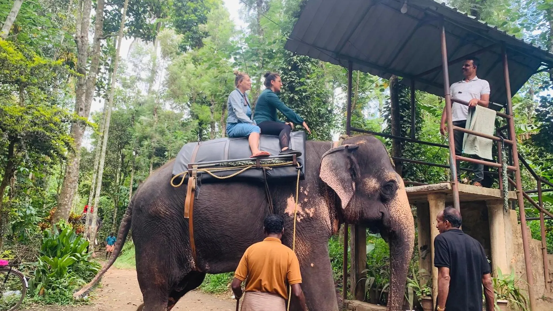 Mountain View Homestay Thekkady