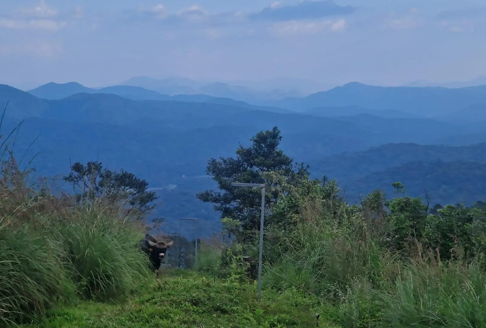 Mountain View Homestay Thekkady