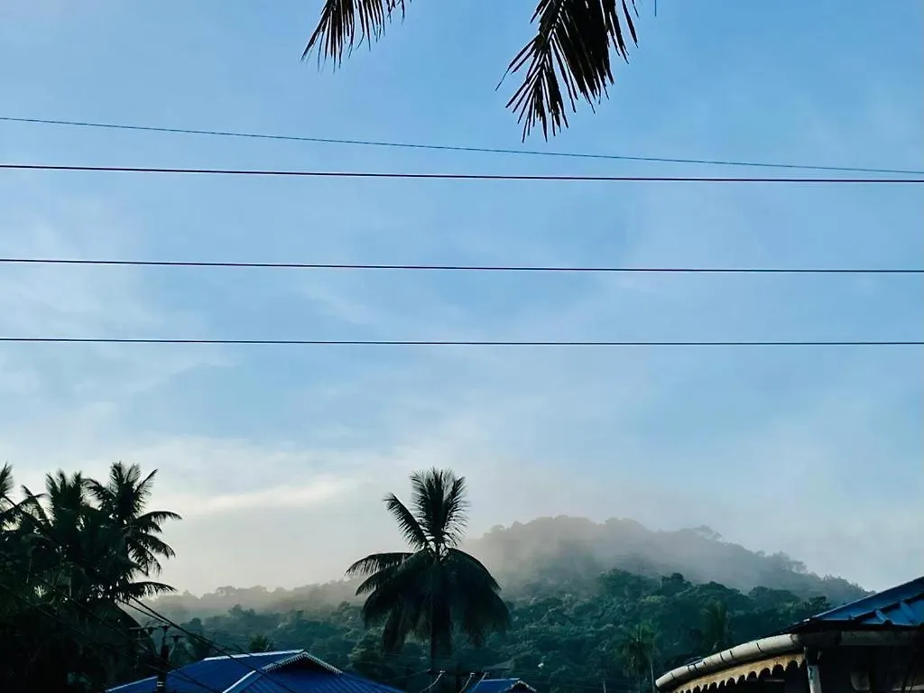 Mountain View Homestay Thekkady