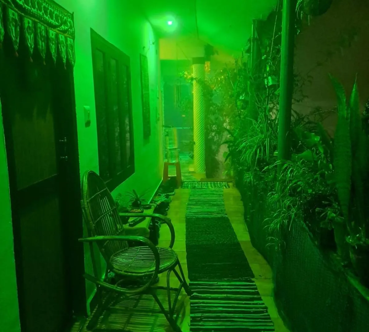 Mountain View Homestay Thekkady